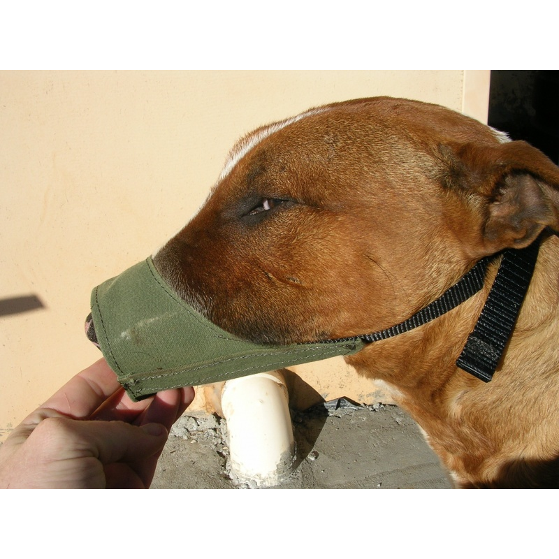 dog muzzles for small dogs