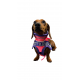Dachshund (Mini) Breastplate