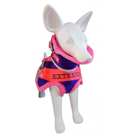 Dachshund (Mini) Breastplate