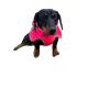Dachshund (Mini) Breastplate