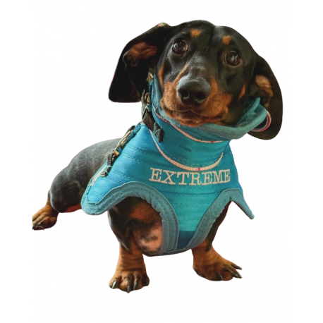 Dachshund (Mini) Breastplate