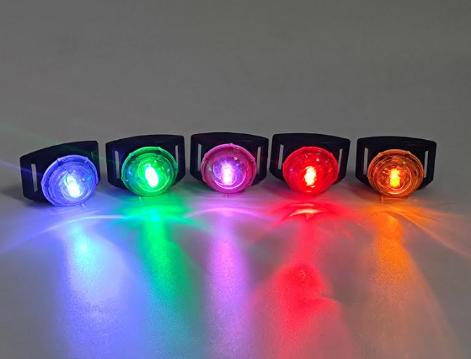 Led Dog safety lights